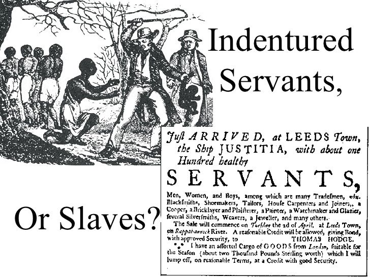 6672b4d4c2864acafe8db980ca3b6167--indentured-servant-enslaved